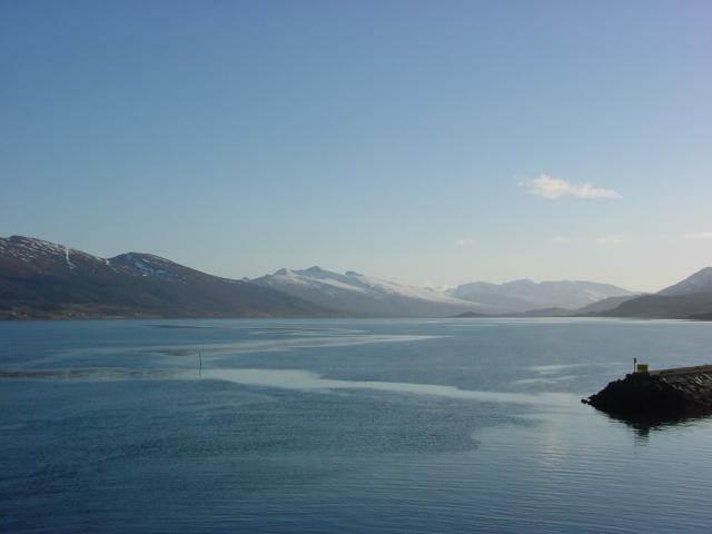 tag_4_006.jpg