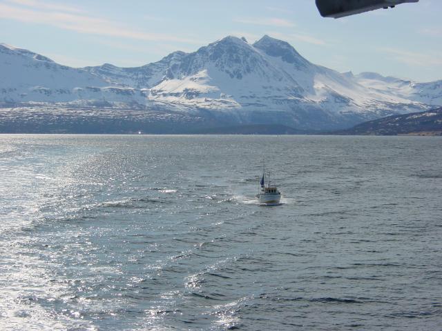 tag_5_039.jpg