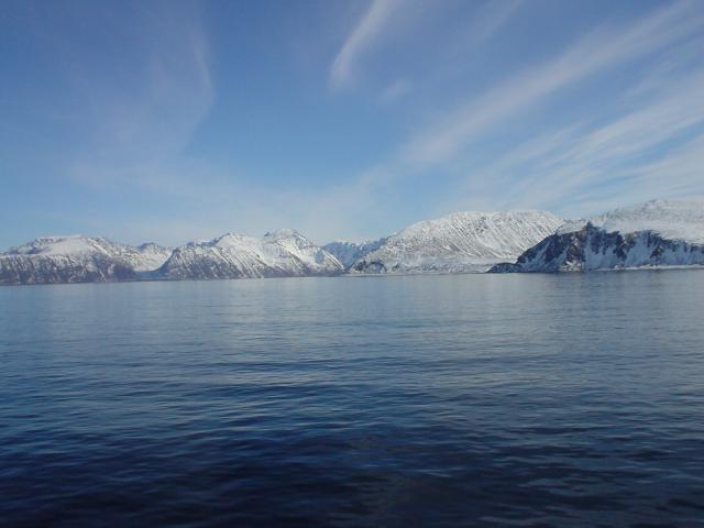 tag_8_046.jpg